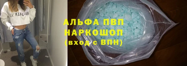 стафф Новокубанск