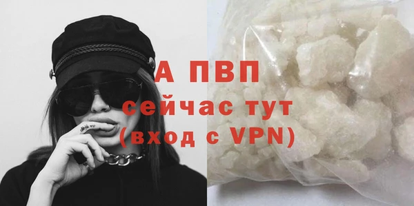 стафф Новокубанск