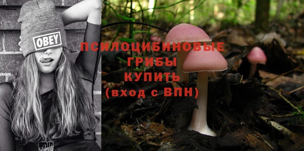 героин Новодвинск
