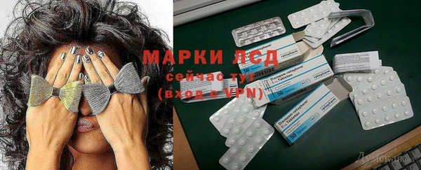стафф Новокубанск