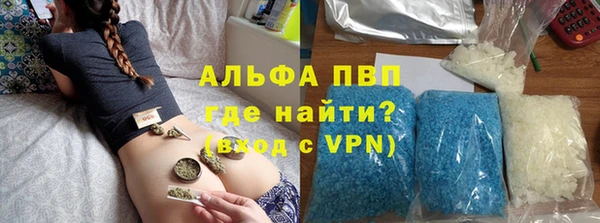 стафф Новокубанск