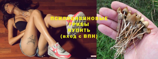 стафф Новокубанск