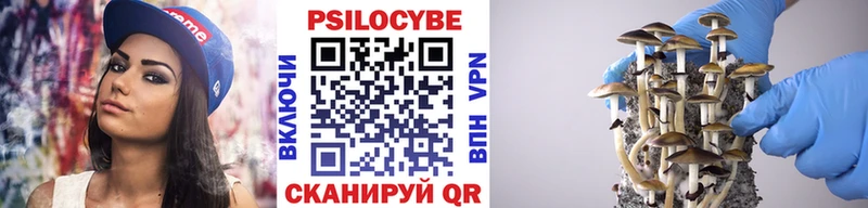 даркнет сайт Касимов Псилоцибиновые грибы Cubensis