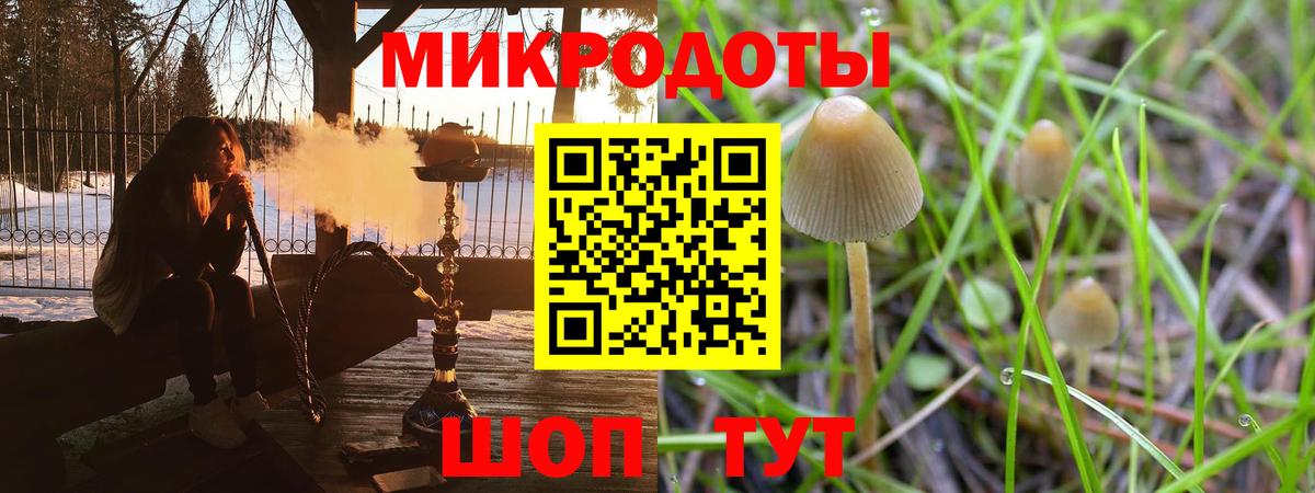 Псилоцибиновые грибы мицелий  Псилоцибиновые грибы Magic Shrooms  Касимов 