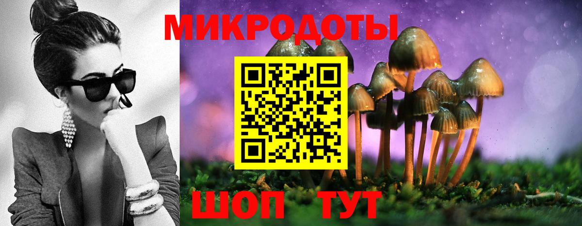 Псилоцибиновые грибы мухоморы Касимов