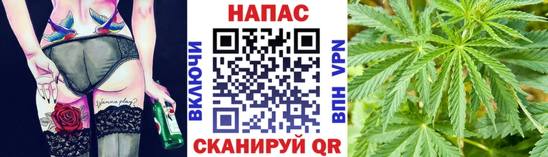 hydra маркетплейс  Касимов  Конопля ГИДРОПОН  купить наркотики сайты 